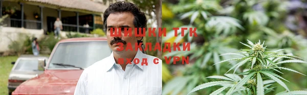 дживик Богородицк