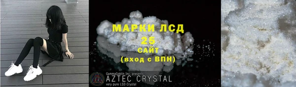 бошки Бородино