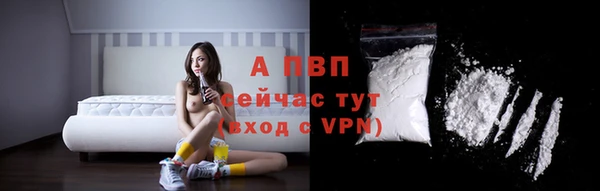 бошки Бородино