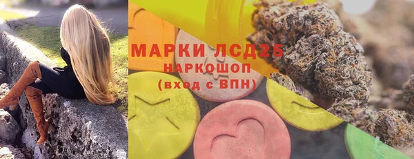 дживик Богородицк